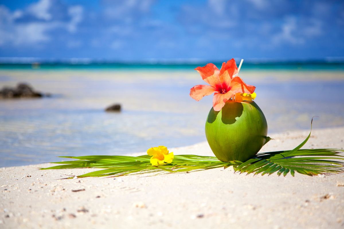 Tropical Island
